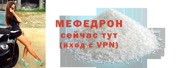 гидра Богданович