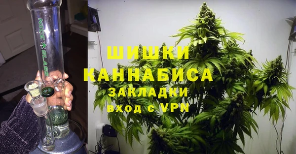 гидра Богданович