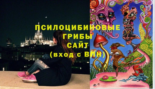 мет Богородицк