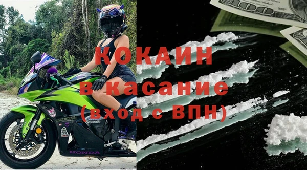 гидра Богданович