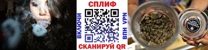 где продают наркотики  Конаково  Конопля планчик 